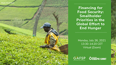 Financing for Food Security