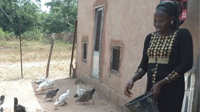 Poultry Farmer in Mali