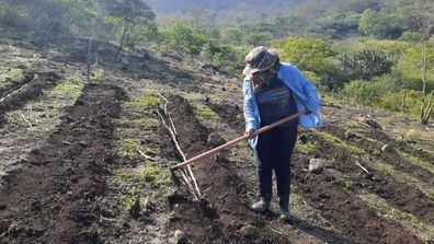 Farmer in Honduras