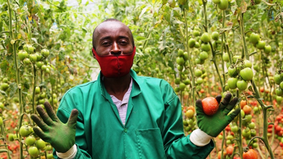 Farmer in Rwanda