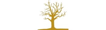 drought tree illustration