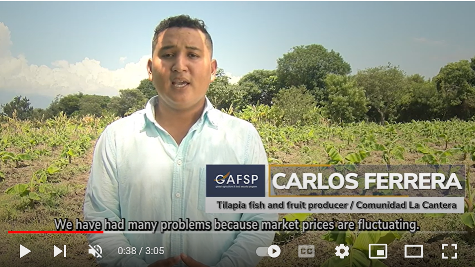 Farmer in Honduras