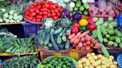 vegetables at the market