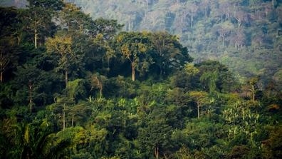 Togo landscape