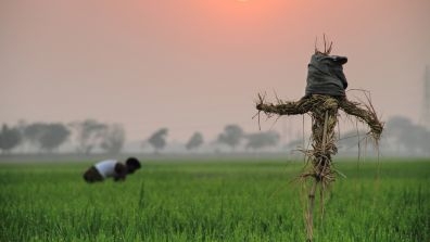 farmer in Bangladesh