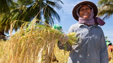 female rice farmer