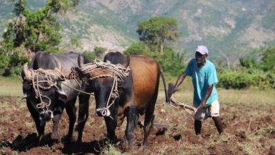 Haiti