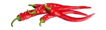 chilli