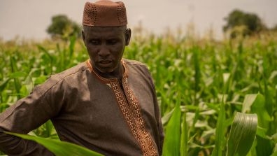 farmer in the Gambia