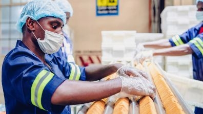 Manual workers on job at a food processing plant in Africa