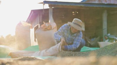 Cambodian farmer storing grain