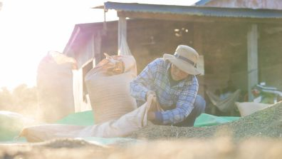 A person wearing a hat crouches beside a pile of grains outdoors, using a sack to gather them. Sunlight flares across the scene, with a simple building and agricultural setting visible in the background.