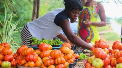 Farmer at the market among vegetable stalls.