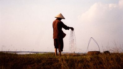 Sifting seeds in a field along Red River in Northern Vietnam. Photo: Quy-Toan Do / World Bank