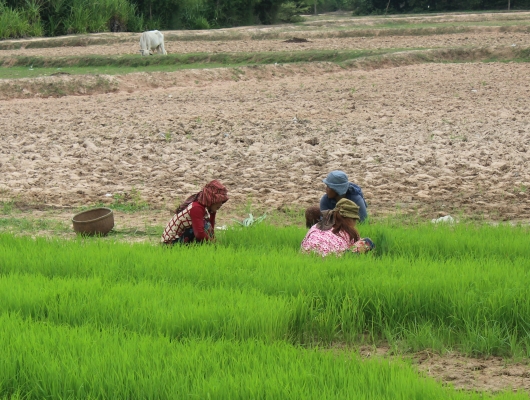 Cambodia