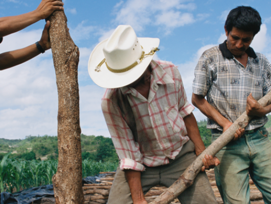 Farmers in Honduras