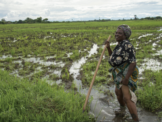 Malawi