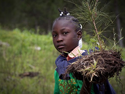 Haiti - farm - UN