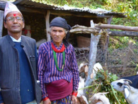 Nepal_AFSP