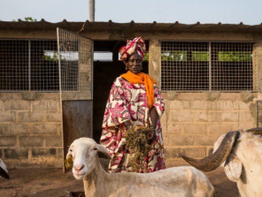 AfDb - Food Security Support Project in Louga, Matam and Kaffrine Regions (PASA/Lou-Ma-Kaf)
