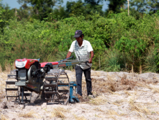 Cambodian farmer