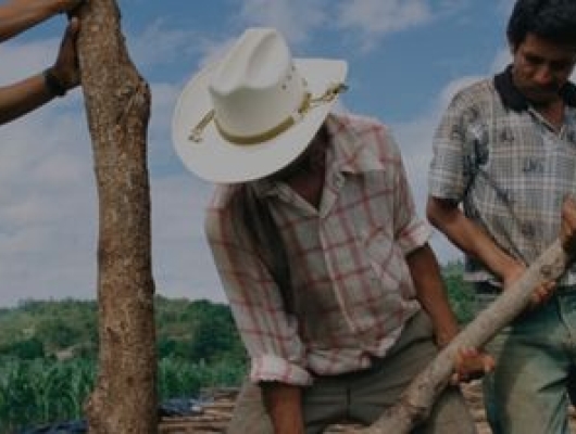 Farmers in Honduras