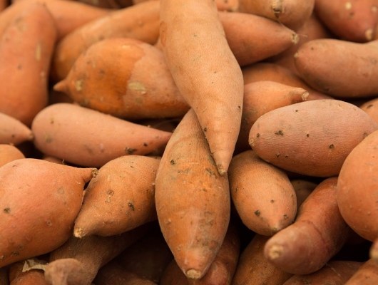 sweet potatoes