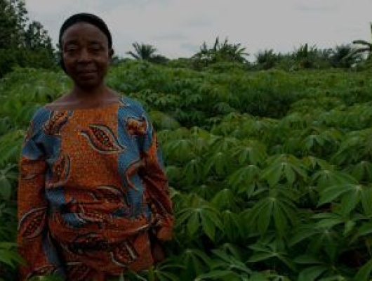 Female Farmer in Benin