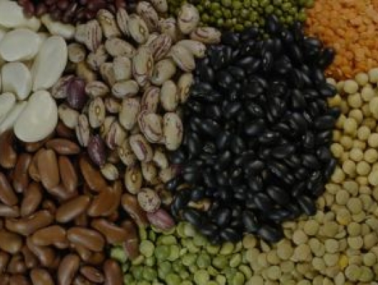 Diverse pulses