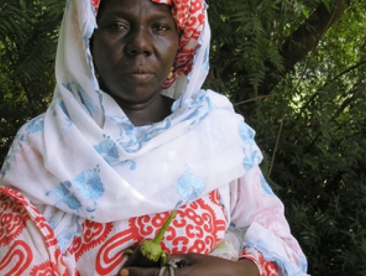 Female farmer in Mauritania