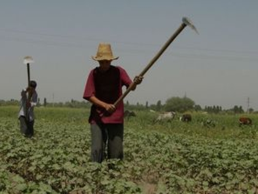 tajikistan