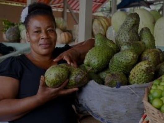 Haitian woman selling fruit at a market