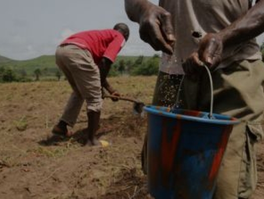 Farmers working in their fields