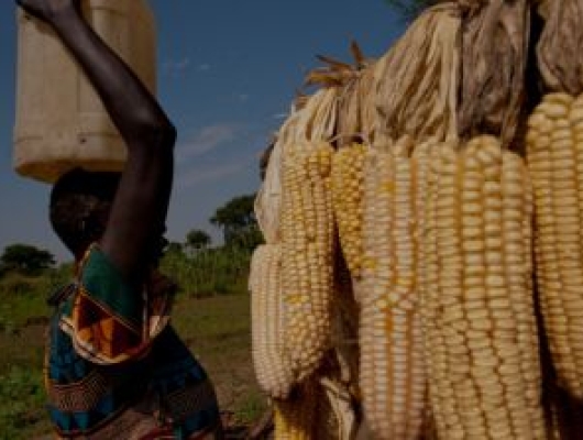 female farmer in a village in South Sudan