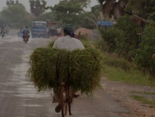 farmer on a bike