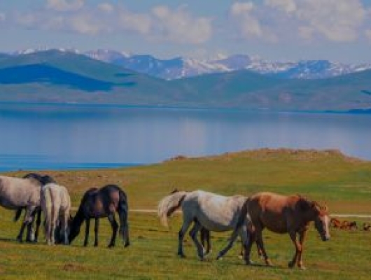 Son Kul Lake, Kyrgyzstan