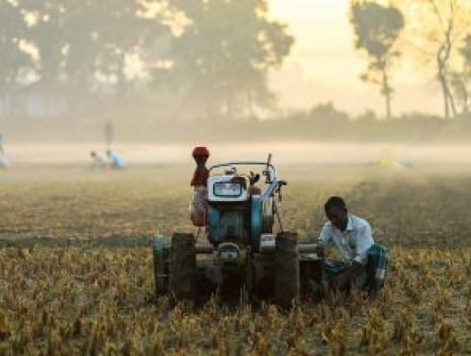 Morning Field Work with Agricultural Tractor